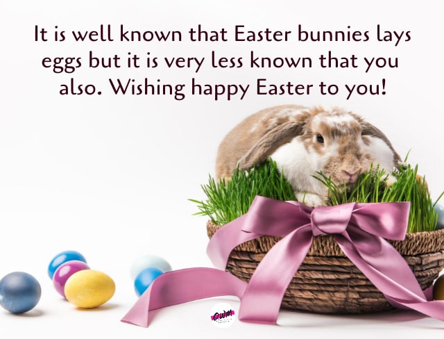 Funny Easter Wishes 2024
