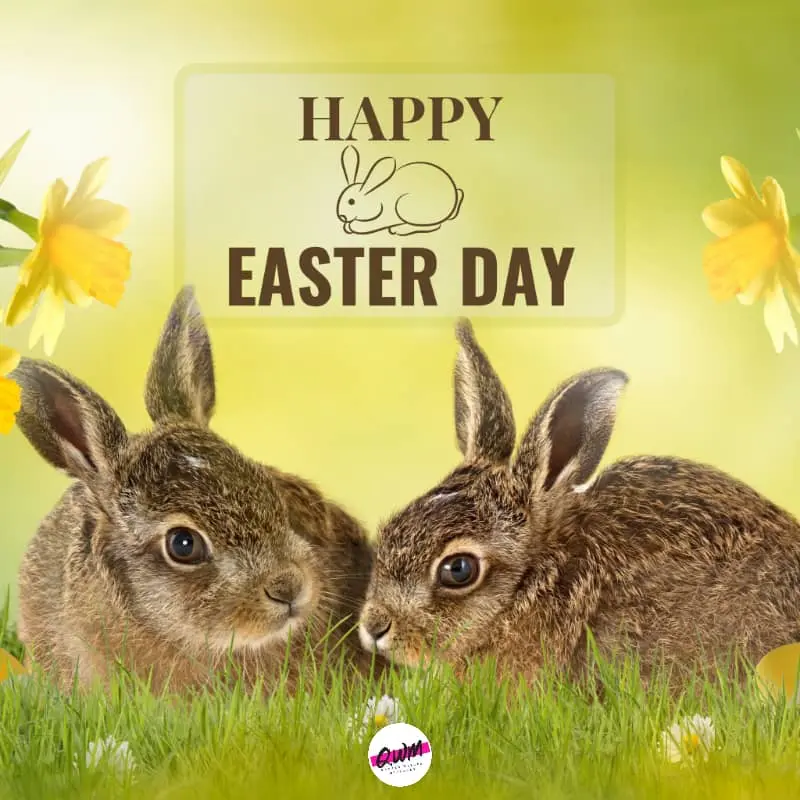 Happy Easter two bunny Images 2024