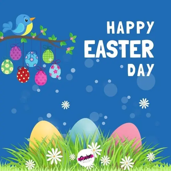 Happy Easter Pictures nature & birds