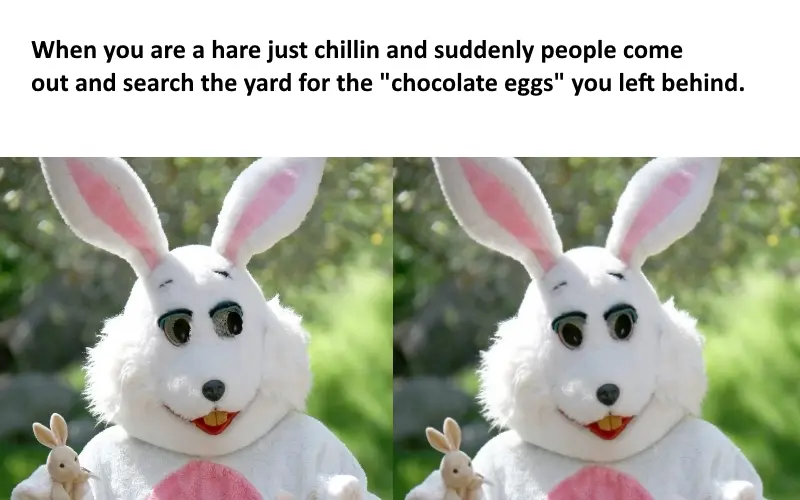 Funny Happy Easter Memes 2024 : Easter Bunny, Eggs & Religious Memes